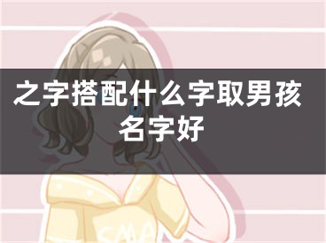 之字搭配什么字取男孩名字好