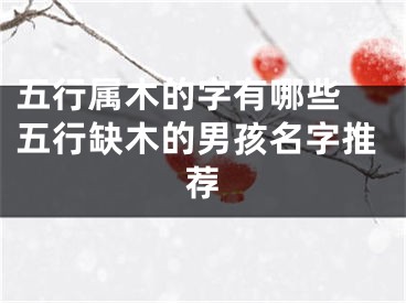 五行属木的字有哪些 五行缺木的男孩名字推荐
