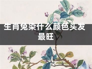 生肖兔染什么颜色头发最旺