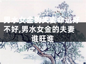 男水女金的夫妻命运好不好,男水女金的夫妻谁旺谁