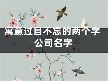 寓意过目不忘的两个字公司名字
