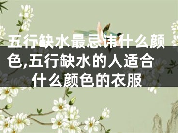 五行缺水最忌讳什么颜色,五行缺水的人适合什么颜色的衣服