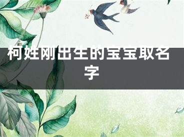 柯姓刚出生的宝宝取名字