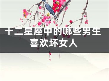 十二星座中的哪些男生喜欢坏女人