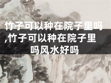 竹子可以种在院子里吗,竹子可以种在院子里吗风水好吗