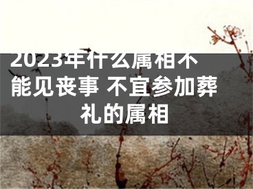 2023年什么属相不能见丧事 不宜参加葬礼的属相