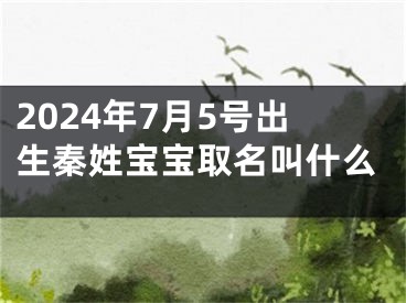 2024年7月5号出生秦姓宝宝取名叫什么