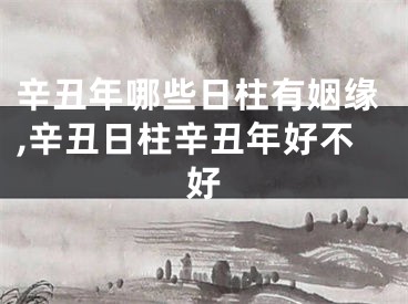 辛丑年哪些日柱有姻缘,辛丑日柱辛丑年好不好