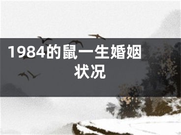 1984的鼠一生婚姻状况
