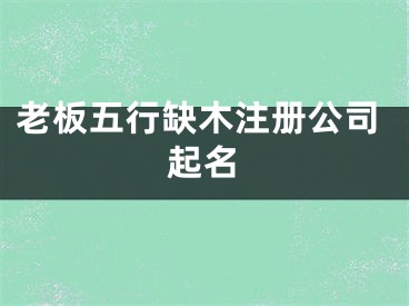 老板五行缺木注册公司起名