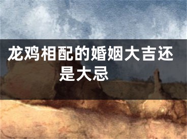 龙鸡相配的婚姻大吉还是大忌 