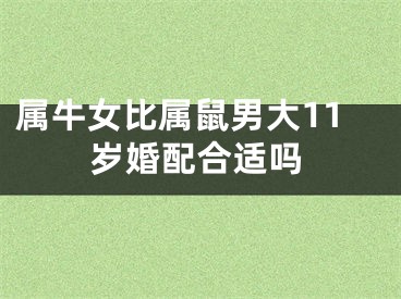 属牛女比属鼠男大11岁婚配合适吗