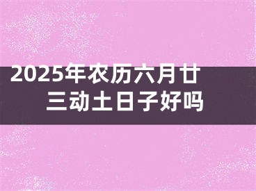 2025年农历六月廿三动土日子好吗