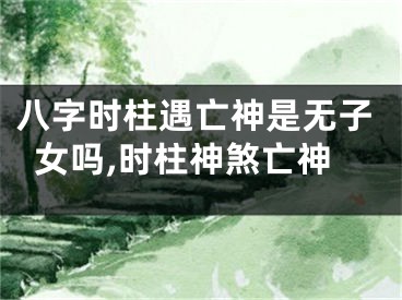 八字时柱遇亡神是无子女吗,时柱神煞亡神
