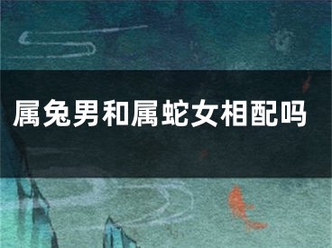 属兔男和属蛇女相配吗