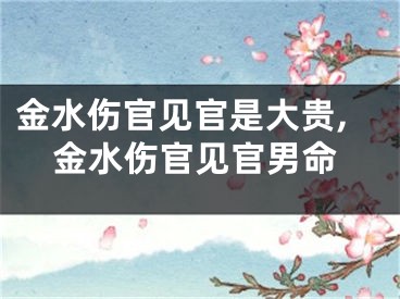 金水伤官见官是大贵,金水伤官见官男命
