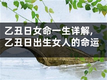 乙丑日女命一生详解,乙丑日出生女人的命运