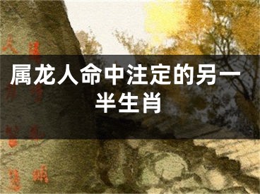 属龙人命中注定的另一半生肖
