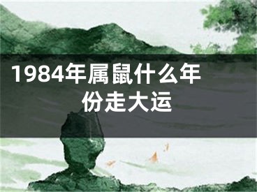 1984年属鼠什么年份走大运
