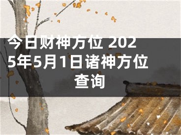 今日财神方位 2025年5月1日诸神方位查询
