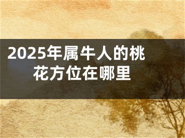 2025年属牛人的桃花方位在哪里 