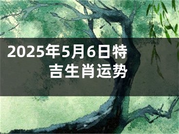 2025年5月6日特吉生肖运势