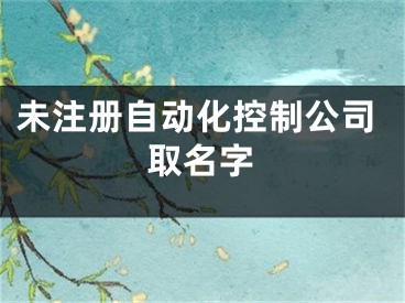 未注册自动化控制公司取名字