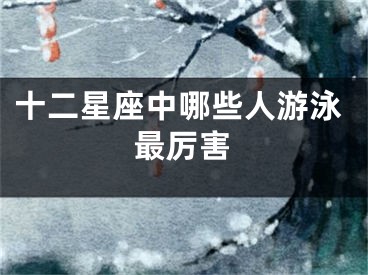 十二星座中哪些人游泳最厉害