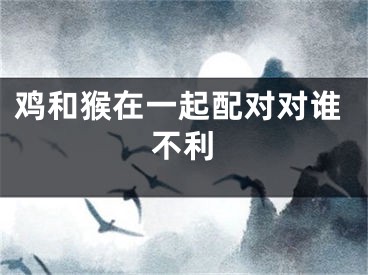 鸡和猴在一起配对对谁不利