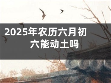 2025年农历六月初六能动土吗