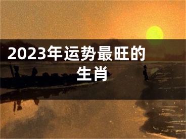 2023年运势最旺的生肖