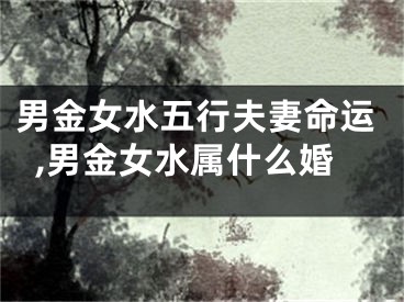 男金女水五行夫妻命运,男金女水属什么婚