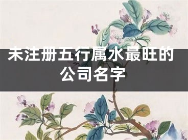 未注册五行属水最旺的公司名字