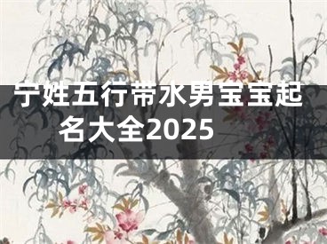 宁姓五行带水男宝宝起名大全2025