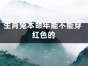 生肖兔本命年能不能穿红色的