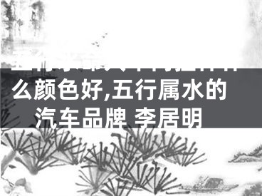 五行水命人车内挂件什么颜色好,五行属水的汽车品牌 李居明