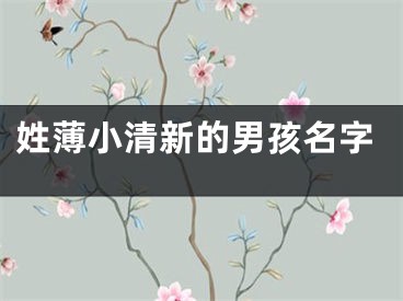 姓薄小清新的男孩名字