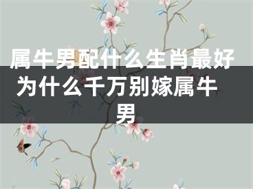 属牛男配什么生肖最好 为什么千万别嫁属牛男