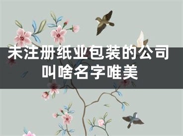 未注册纸业包装的公司叫啥名字唯美