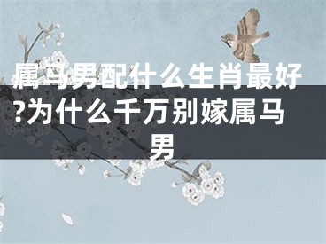 属马男配什么生肖最好?为什么千万别嫁属马男
