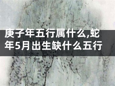 庚子年五行属什么,蛇年5月出生缺什么五行