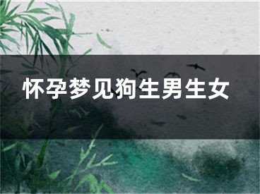 怀孕梦见狗生男生女
