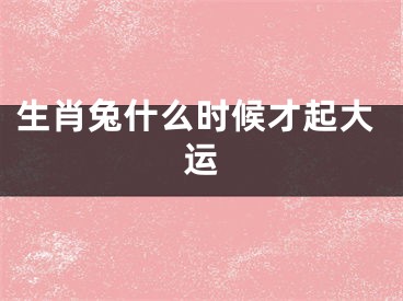 生肖兔什么时候才起大运