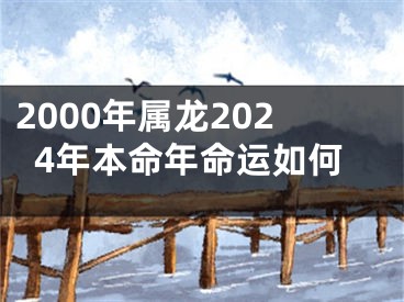 2000年属龙2024年本命年命运如何