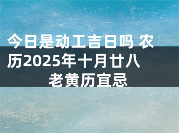 今日是动工吉日吗 农历2025年十月廿八老黄历宜忌