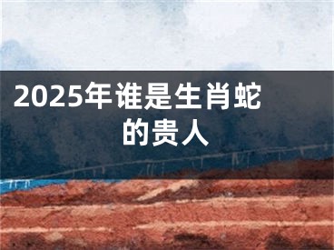 2025年谁是生肖蛇的贵人