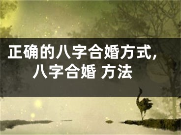 正确的八字合婚方式,八字合婚 方法