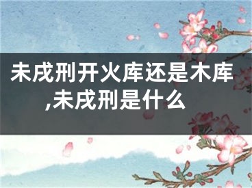 未戌刑开火库还是木库,未戌刑是什么