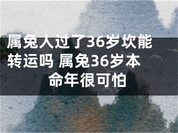 属兔人过了36岁坎能转运吗 属兔36岁本命年很可怕