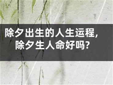 除夕出生的人生运程,除夕生人命好吗?